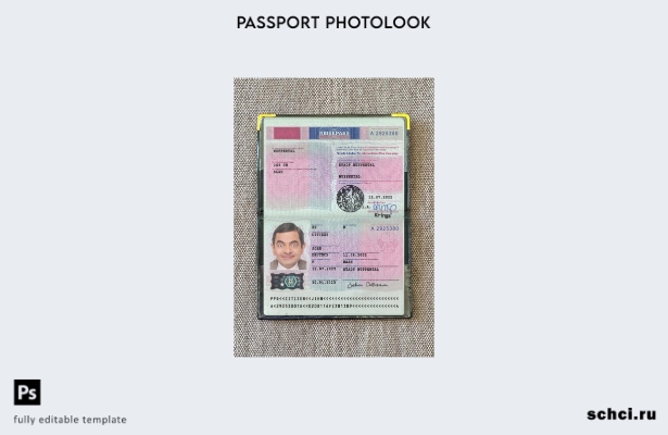 цифровая загрузка шаблона фотоизображения для паспорта Германии